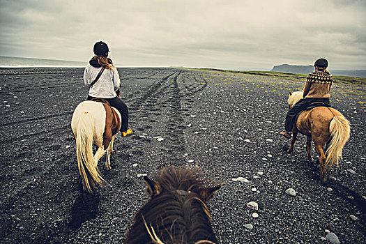 旅游,马,背影,骑,冰岛