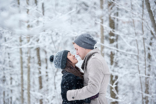 浪漫,年轻,情侣,面对面,雪,树林,安大略省,加拿大