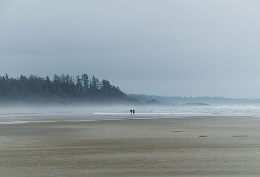孤单,情侣,走,海滩,雾
