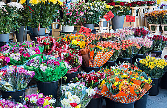 斯德哥尔摩,瑞典,彩色,花,出售,市场,市区,城市