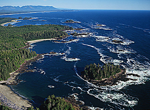 航拍,雷达,海滩,环太平洋国家公园,温哥华岛,不列颠哥伦比亚省,加拿大