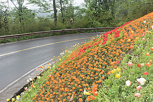 花园公路