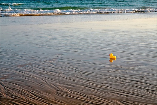 黄色,小,玩具,小鸭子,海滩