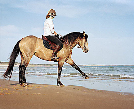 骑马,海边