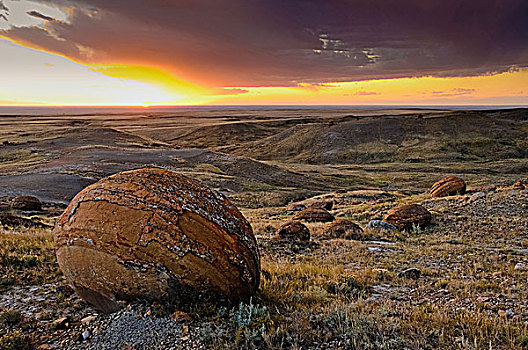 大,砂岩,红岩,自然,区域,艾伯塔省,加拿大