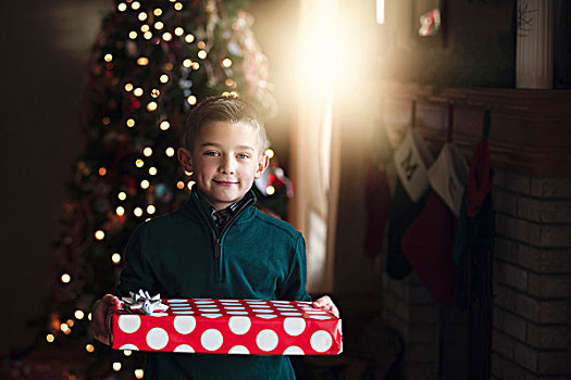 男孩,正面,圣诞树,拿着,礼物,看镜头,微笑