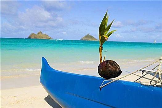 夏威夷,瓦胡岛,独木舟,海滩,椰子,船首