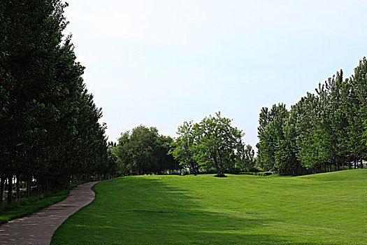 高尔夫球场,树木,道路