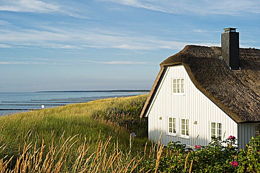 茅草屋顶,房子,海洋,阿伦斯霍普,费施兰德-达斯-茨因斯特,半岛