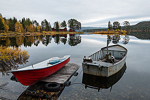 船,湖,秋景,反射,拉普兰,瑞典,欧洲