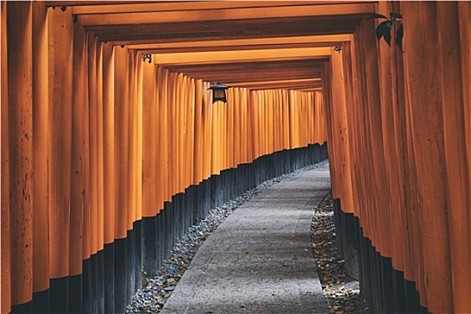 伏见,稻成,神祠,京都,日本