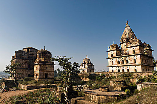 纪念碑,墓葬碑,奥恰,中央邦,北印度,印度,亚洲