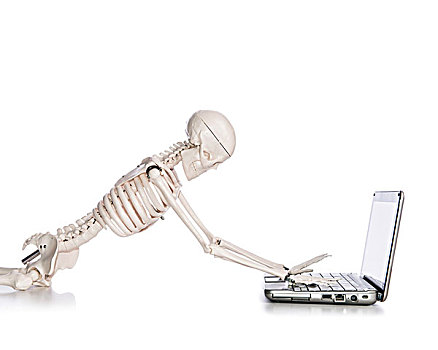 骨骼,工作,笔记本电脑