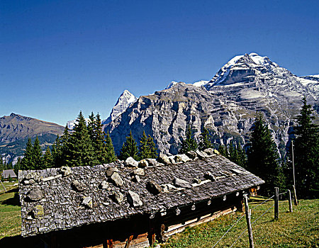 瑞士,阿尔卑斯山,穆伦,山区木屋,少女峰