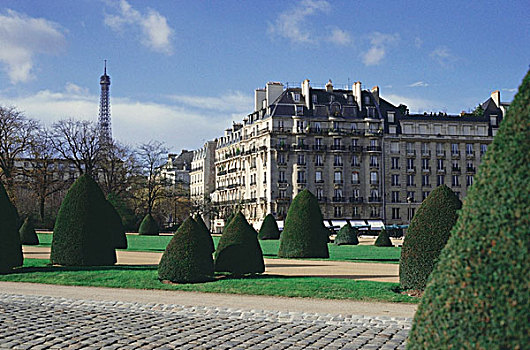 正规花园,正面,休闲场所,埃菲尔铁塔,背景,巴黎,法兰西岛,法国