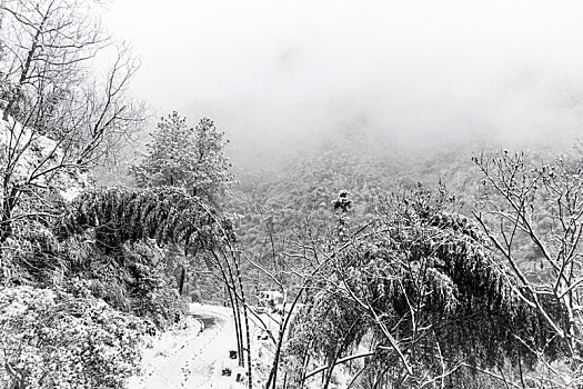 浙江桐庐雪景