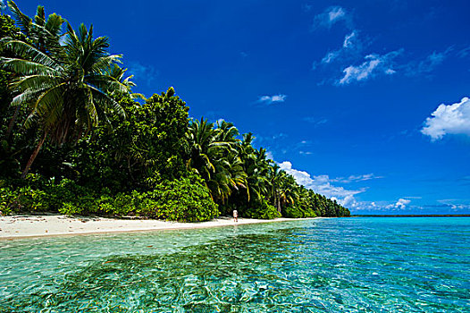 白沙滩,青绿色,水,蚂蚁,环礁,密克罗尼西亚,大洋洲