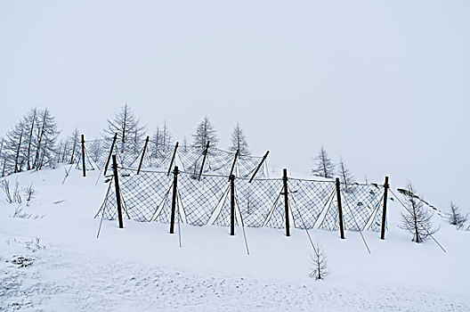 雪,栅栏