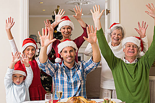 高兴,大家庭,圣诞帽,欢呼,看镜头