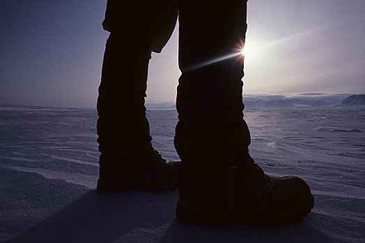 加拿大,艾利斯摩尔岛,冰冻,湖,两个,腿,日落