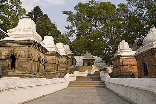 楼梯,寺庙,帕斯帕提那神庙,山,通过,树林,尼泊尔,四月,2007年