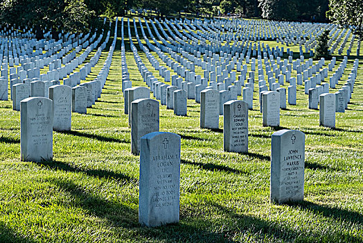 排,墓石,阿灵顿国家公墓,华盛顿特区