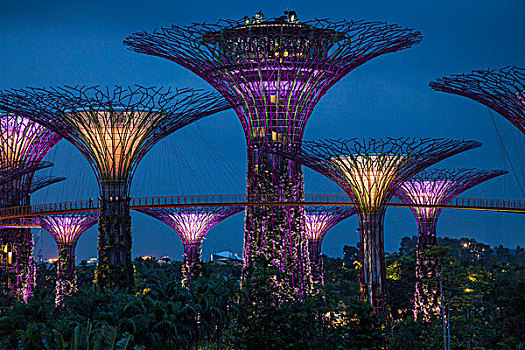 新加坡,花园,海洋,塔,夜晚,画廊