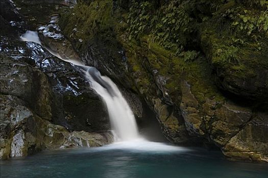 瀑布,绿色,原始,树林,南部地区,南岛,新西兰