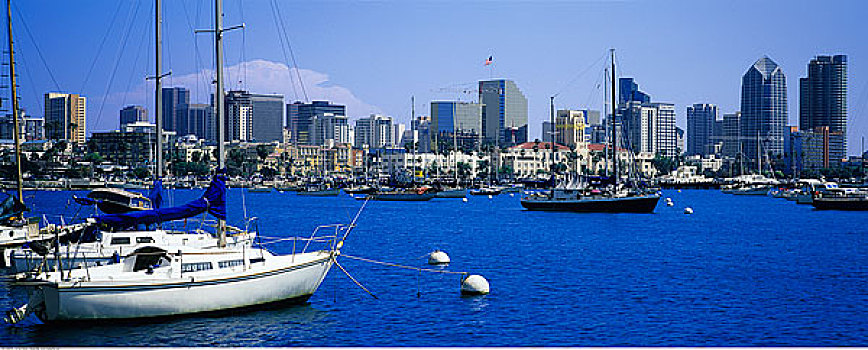 帆船,港口,圣地亚哥,加利福尼亚,美国