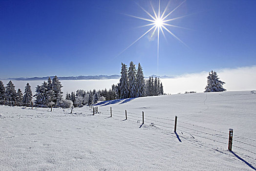 德国,巴伐利亚,东方,冬季风景,阿尔卑斯山