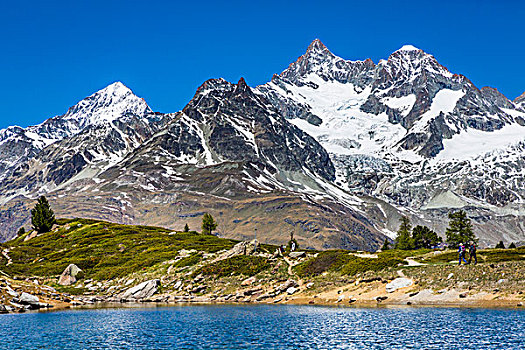 人,远足,岸边,小,高山湖,山顶,阿尔卑斯山,背景,策马特峰,瑞士