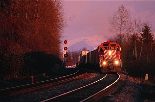 列车,铁轨,山谷,不列颠哥伦比亚省,加拿大