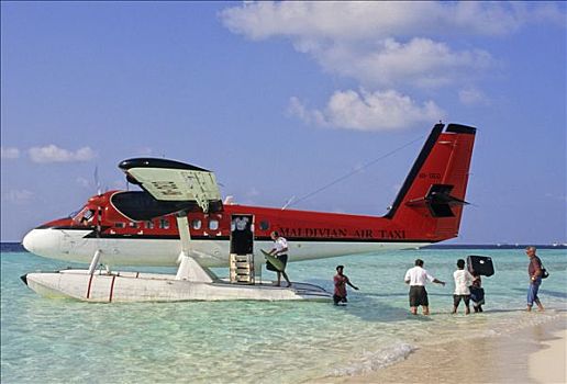 马尔代夫,男性,岛屿,人,靠近,水上飞机