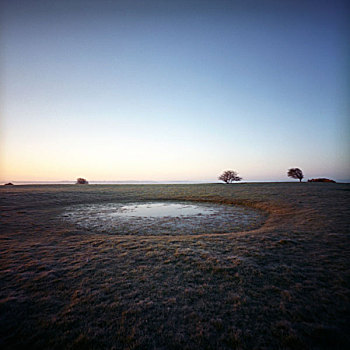 冰冻,水塘,地点,早,早晨,蓝色,天空,威尔特,英国