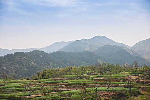 山区风景