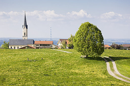 酸橙树,地点,教堂,背景,巴伐利亚,德国