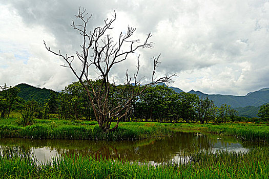 大九湖湖光山色