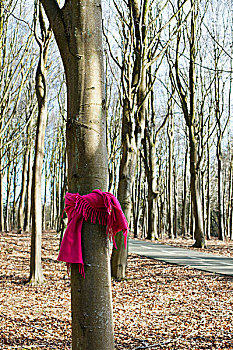 树,粉色,围巾