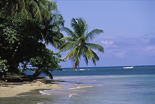 岬角,萨玛纳,多米尼加共和国