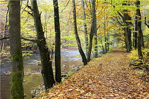 河,秋天,捷克共和国