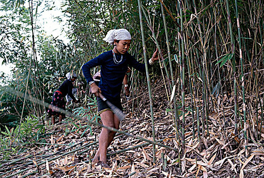 年轻,部落,竹子,灌木丛,准备,培育,燃烧,山,孟加拉