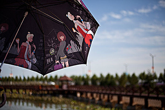 雨伞,阳伞