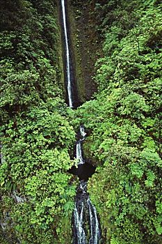 夏威夷,夏威夷大岛,哈玛库亚,远景,瀑布,围绕,密集,植被