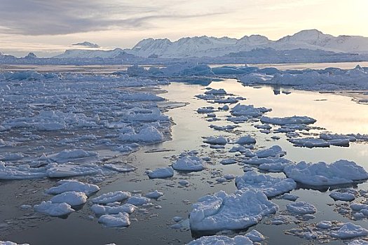 海冰,峡湾,格陵兰