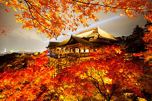 美景,秋季,彩色,枫树,庙宇,京都,流行,旅游胜地,日本