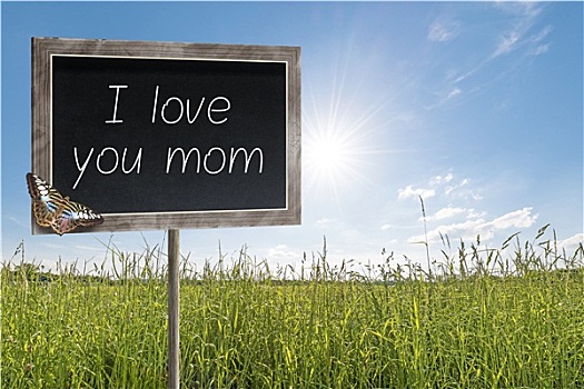 黑板,文字,我爱你,妈妈