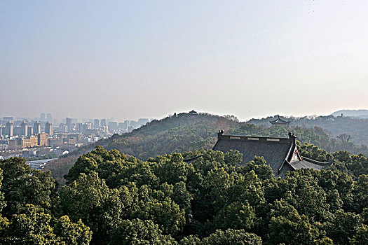 从杭州吴山景区看城市