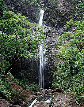 夏威夷,考艾岛,瀑布,树林,山谷,纳帕利海岸,大幅,尺寸