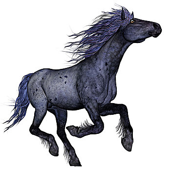 黑色,蓝色,马,跑