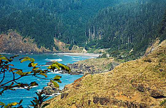 风景,印第安,海滩,瞭望点,艾科拉州立公园,俄勒冈,美国